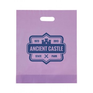 Frosted Die Cut Bag - 15x18x4