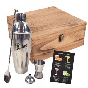 25oz Stainless Steel Cocktail Gift Set