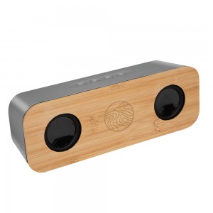 Chrome & Bamboo Wireless Speaker